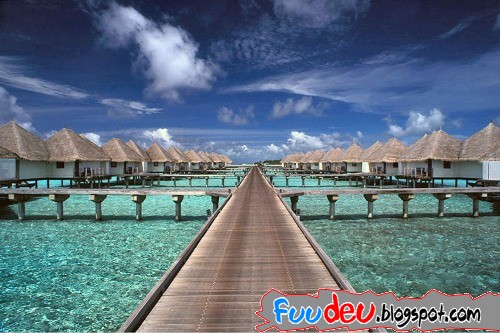 http://fuudeu.files.wordpress.com/2009/07/maldives-photos-great-11.jpg
