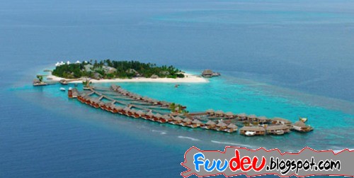 http://fuudeu.files.wordpress.com/2009/07/maldives-photos-great-12.jpg