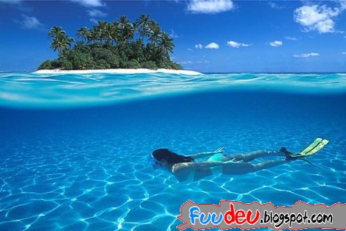 http://fuudeu.files.wordpress.com/2009/07/maldives-photos-great-4.jpg