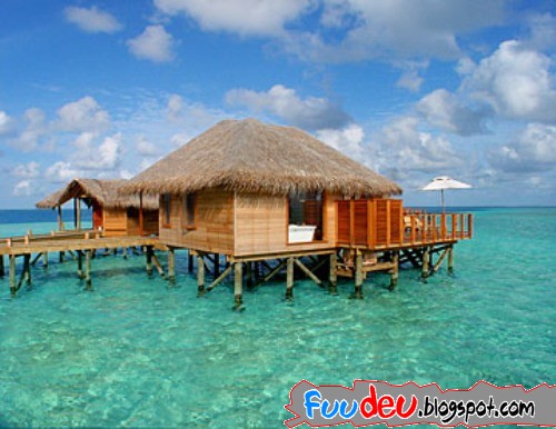 http://fuudeu.files.wordpress.com/2009/07/maldives-photos-great-6.jpg