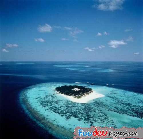 http://fuudeu.files.wordpress.com/2009/07/maldives-photos-great-9.jpg